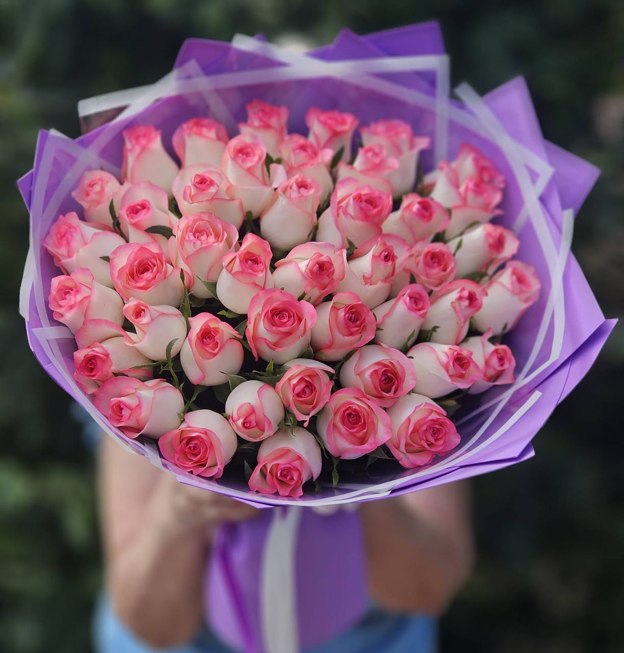 Букет из 51 розовой розы