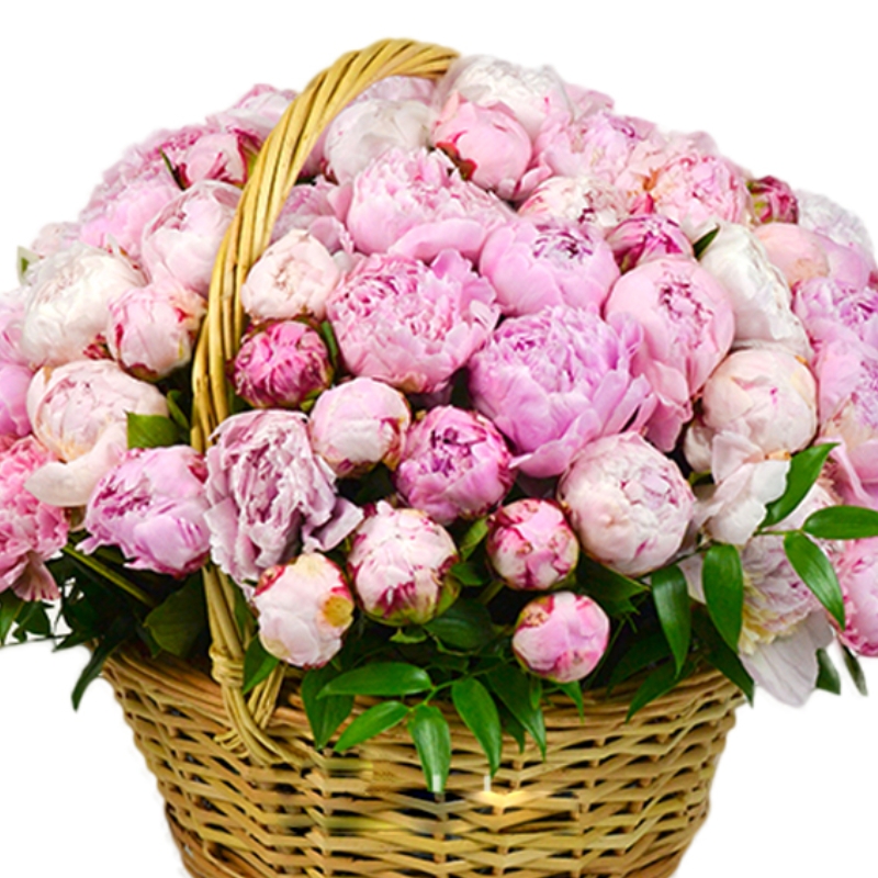 Корзина из 75 розовых пионов