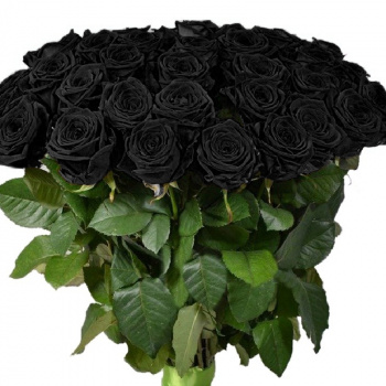 Букет траурный из 46 роз