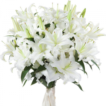 Букет из 11 белых лилий